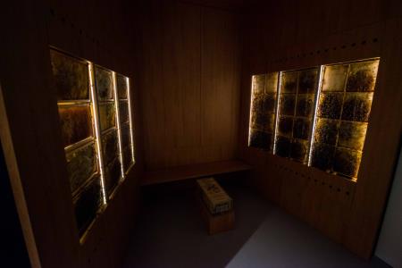 Odprtje Središča inovativnih tehnologij APILAB – HIŠA KRANJSKE ČEBELE 43